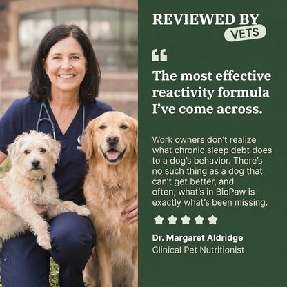 Stop The Barking & Lunging With BioPaw Deep Sleep Chews